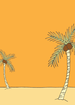 Palm Trees