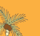 Palm Trees
